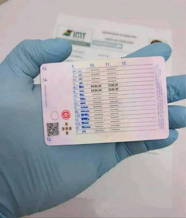 462593971_557121023540681_2703200572532413067_n