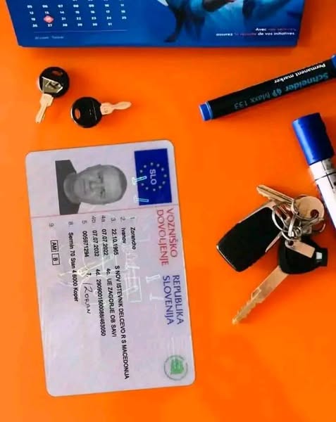 ponarejena vozniška dovoljenja
