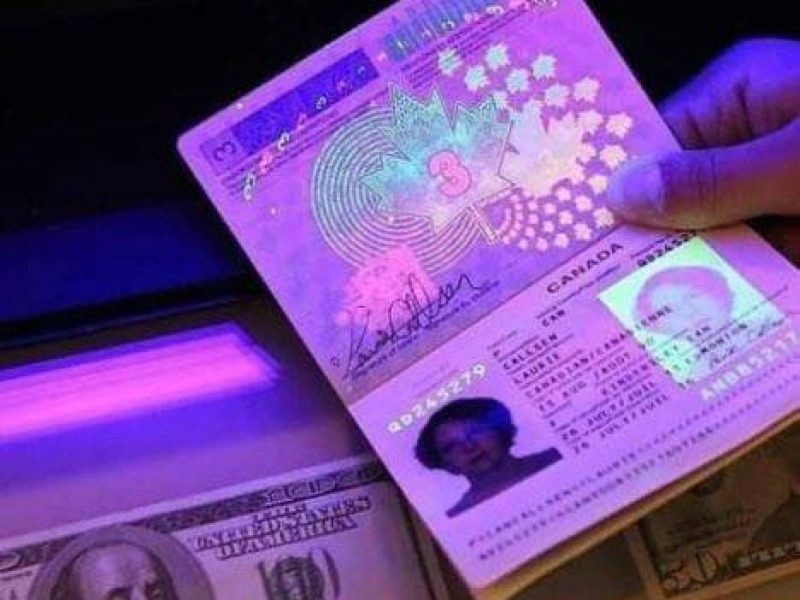 diplomatenpass legal kaufen